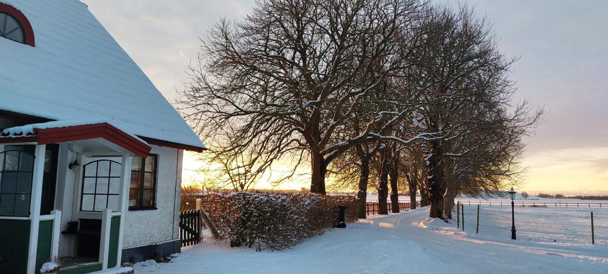 Lantligt Och Lugnt Boende Naera Natur Och Stad Svedala ภายนอก รูปภาพ