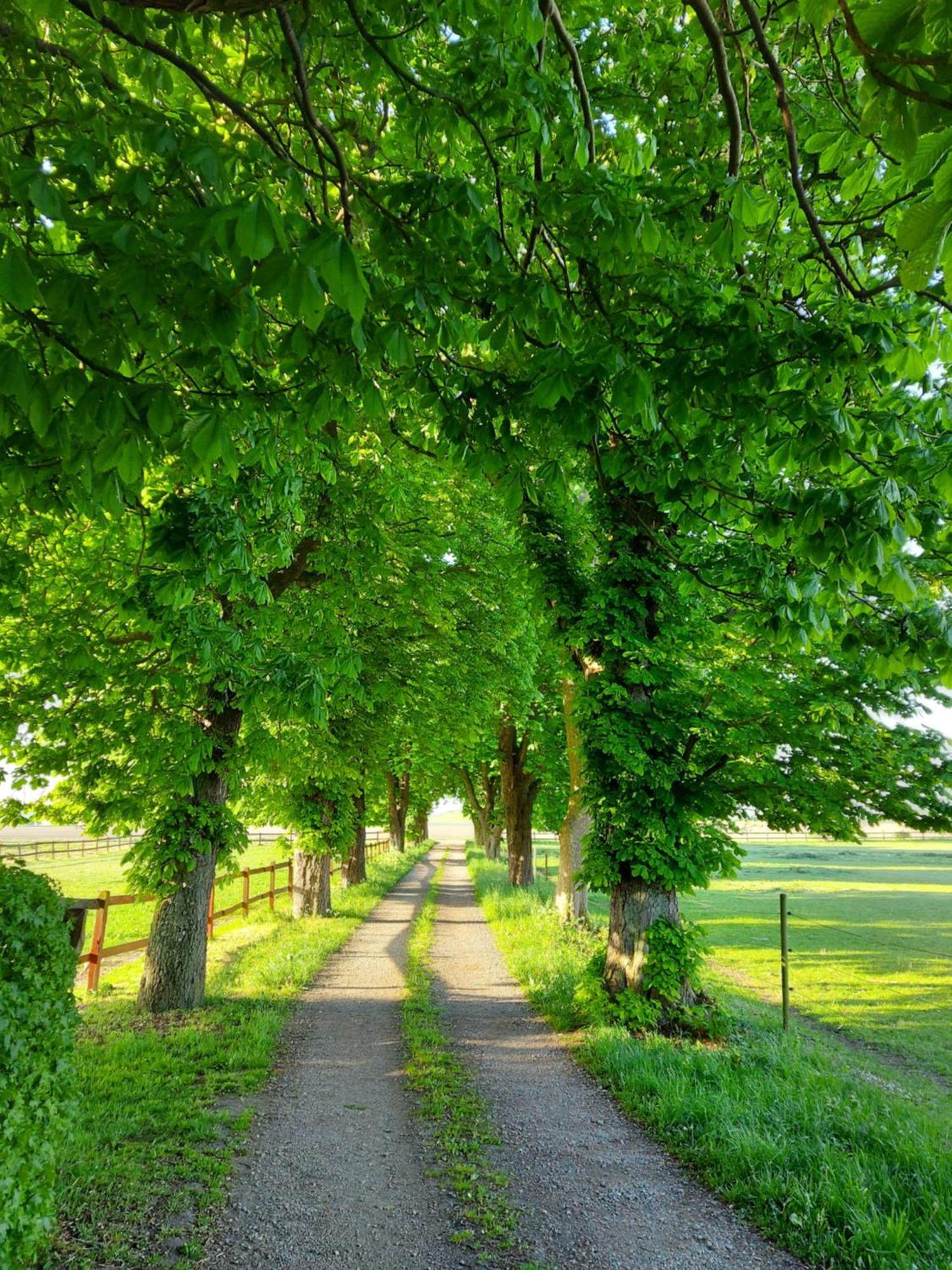 Lantligt Och Lugnt Boende Naera Natur Och Stad Svedala ภายนอก รูปภาพ
