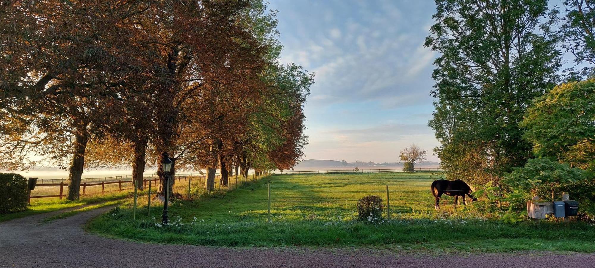 Lantligt Och Lugnt Boende Naera Natur Och Stad Svedala ภายนอก รูปภาพ
