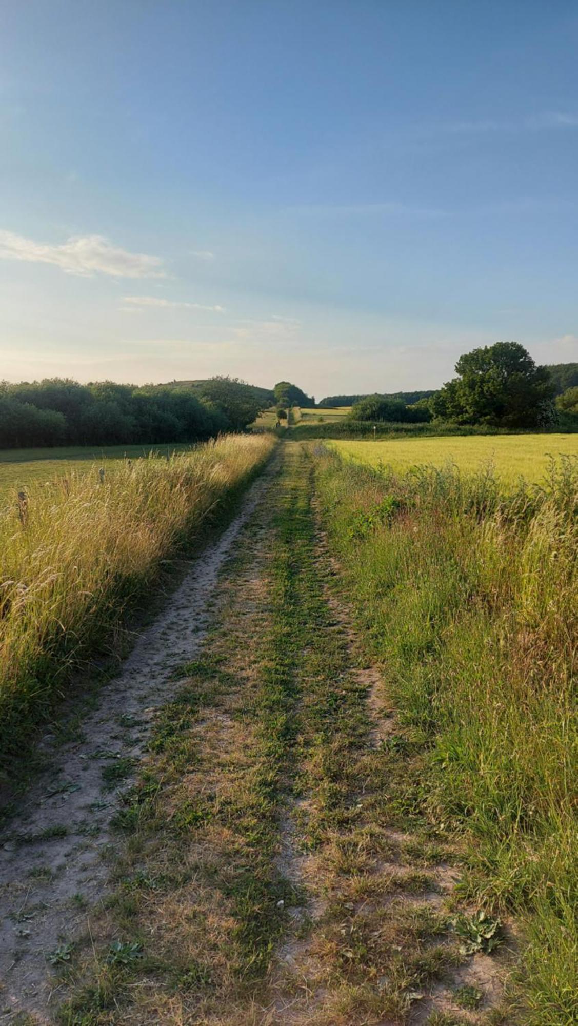 Lantligt Och Lugnt Boende Naera Natur Och Stad Svedala ภายนอก รูปภาพ