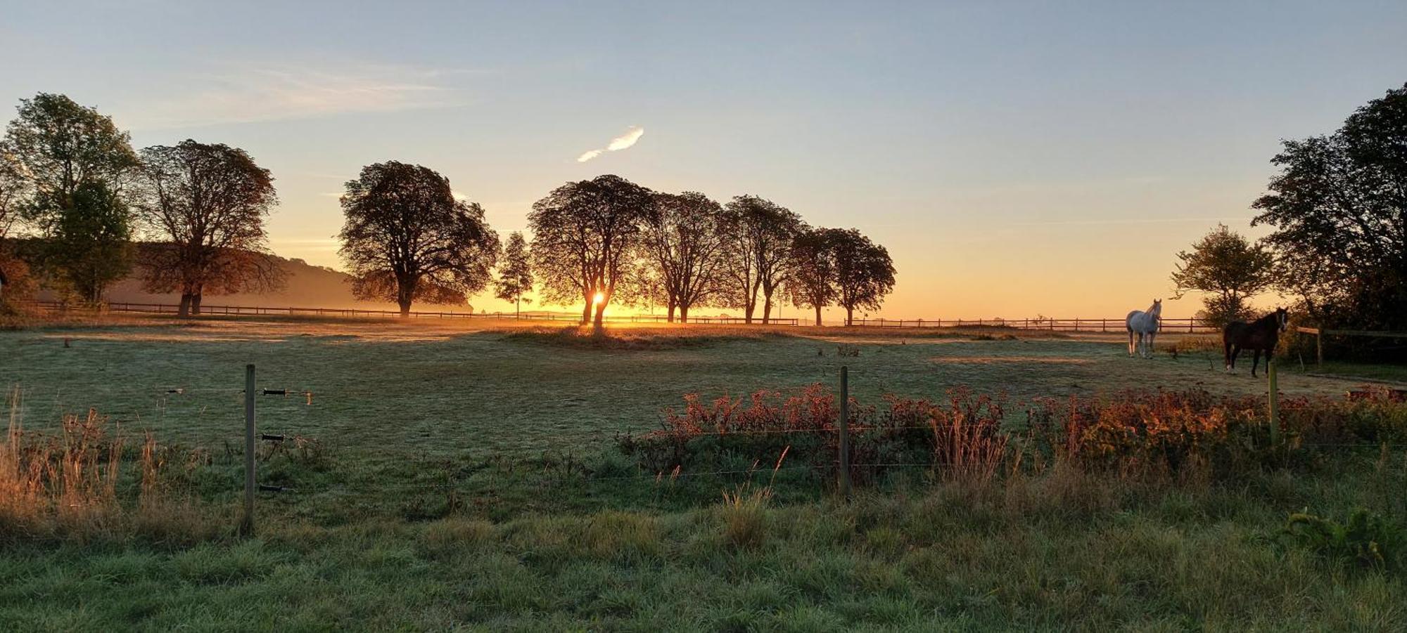 Lantligt Och Lugnt Boende Naera Natur Och Stad Svedala ภายนอก รูปภาพ