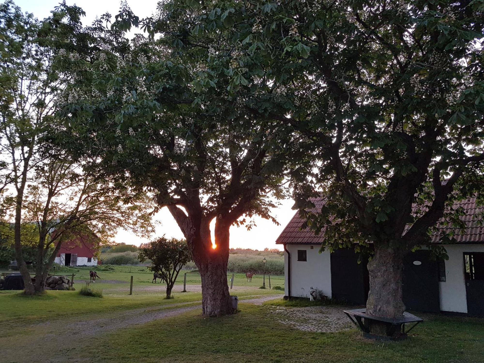 Lantligt Och Lugnt Boende Naera Natur Och Stad Svedala ภายนอก รูปภาพ