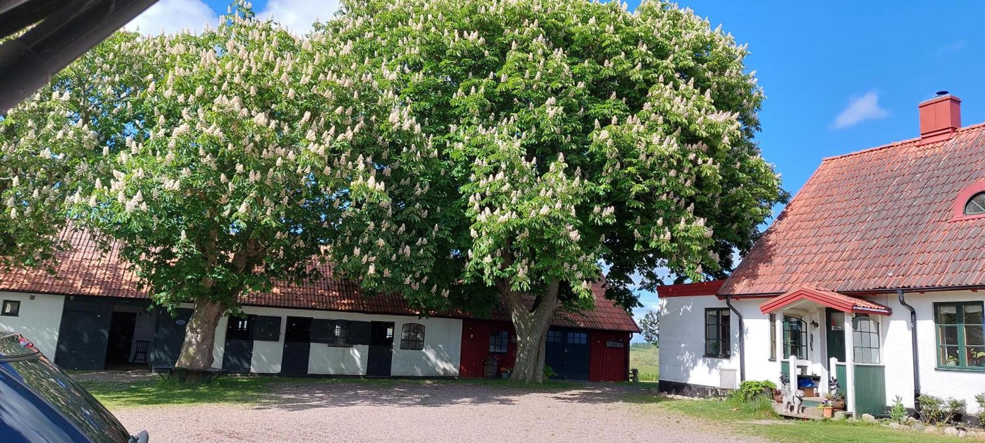 Lantligt Och Lugnt Boende Naera Natur Och Stad Svedala ภายนอก รูปภาพ