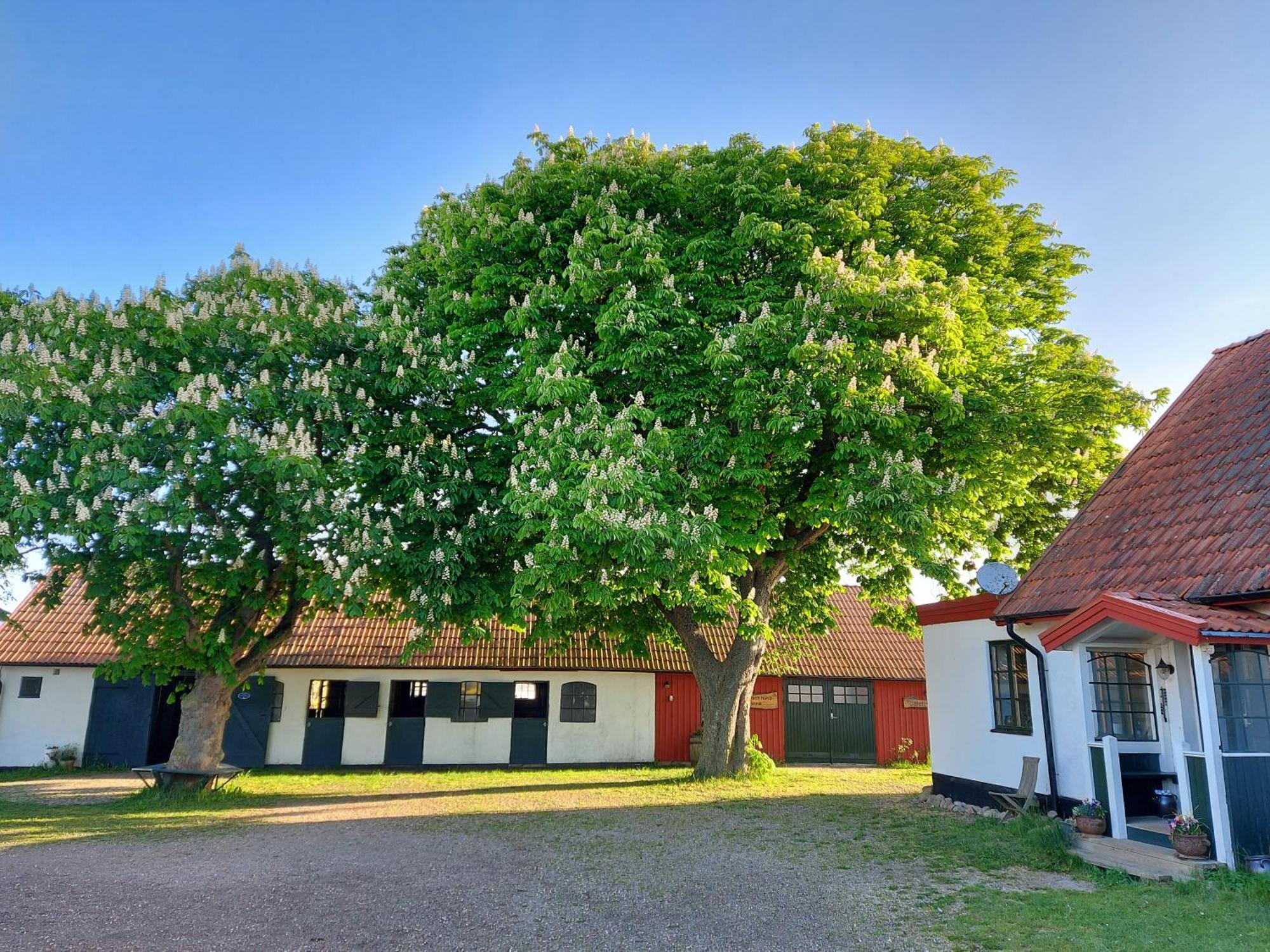 Lantligt Och Lugnt Boende Naera Natur Och Stad Svedala ภายนอก รูปภาพ