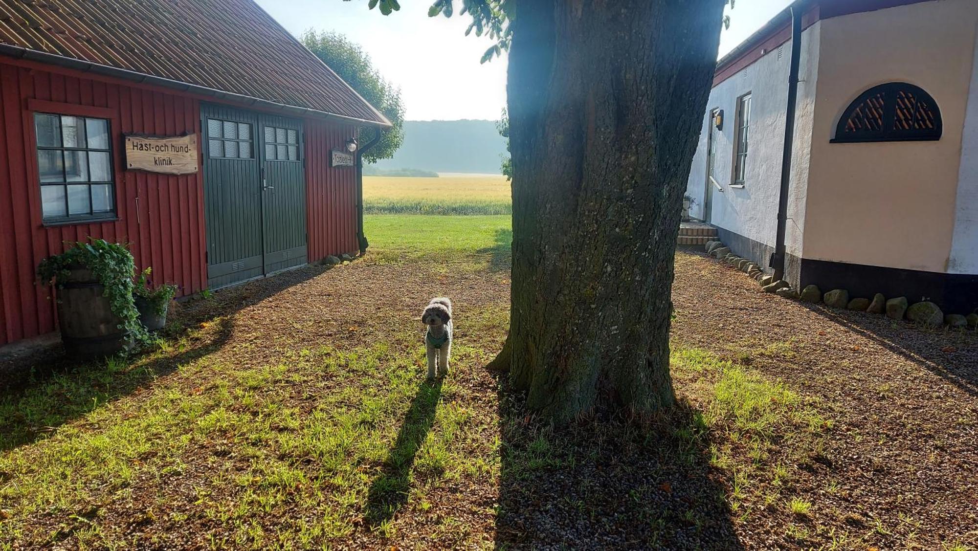 Lantligt Och Lugnt Boende Naera Natur Och Stad Svedala ภายนอก รูปภาพ