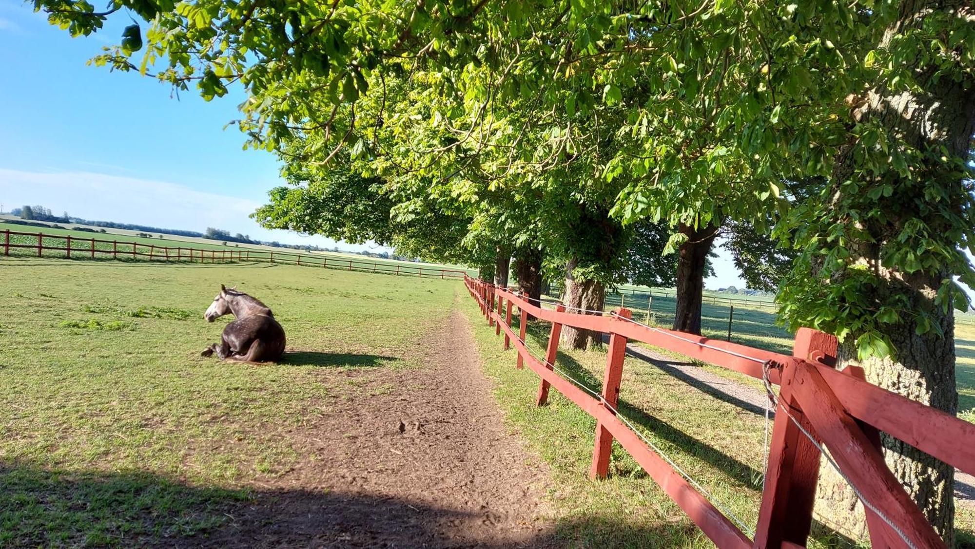 Lantligt Och Lugnt Boende Naera Natur Och Stad Svedala ภายนอก รูปภาพ