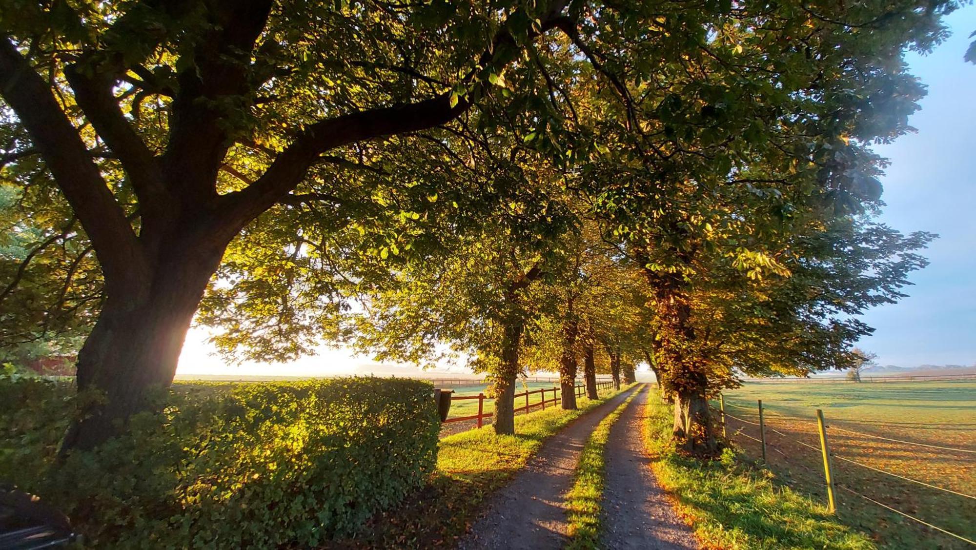 Lantligt Och Lugnt Boende Naera Natur Och Stad Svedala ภายนอก รูปภาพ