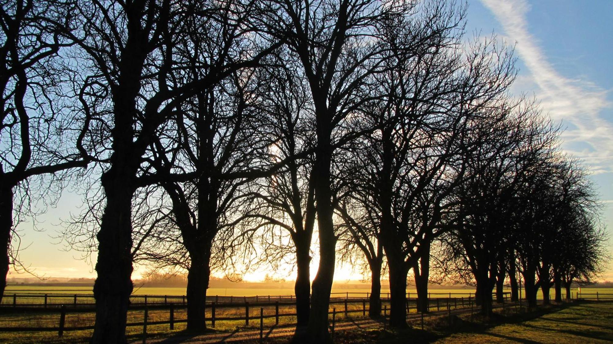 Lantligt Och Lugnt Boende Naera Natur Och Stad Svedala ภายนอก รูปภาพ